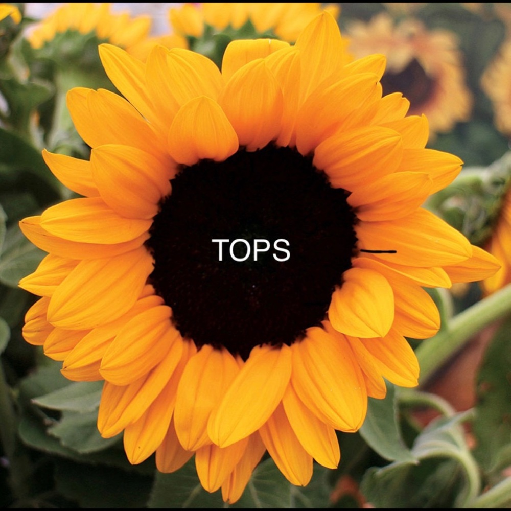 T O P S